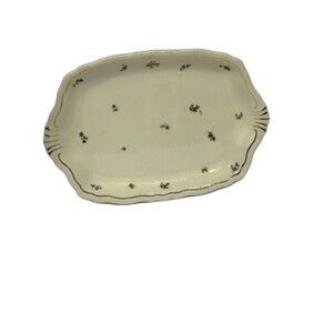 Vintage Warwick Oval Serving Platter in a Floral Pattern Color Cream Gold USA